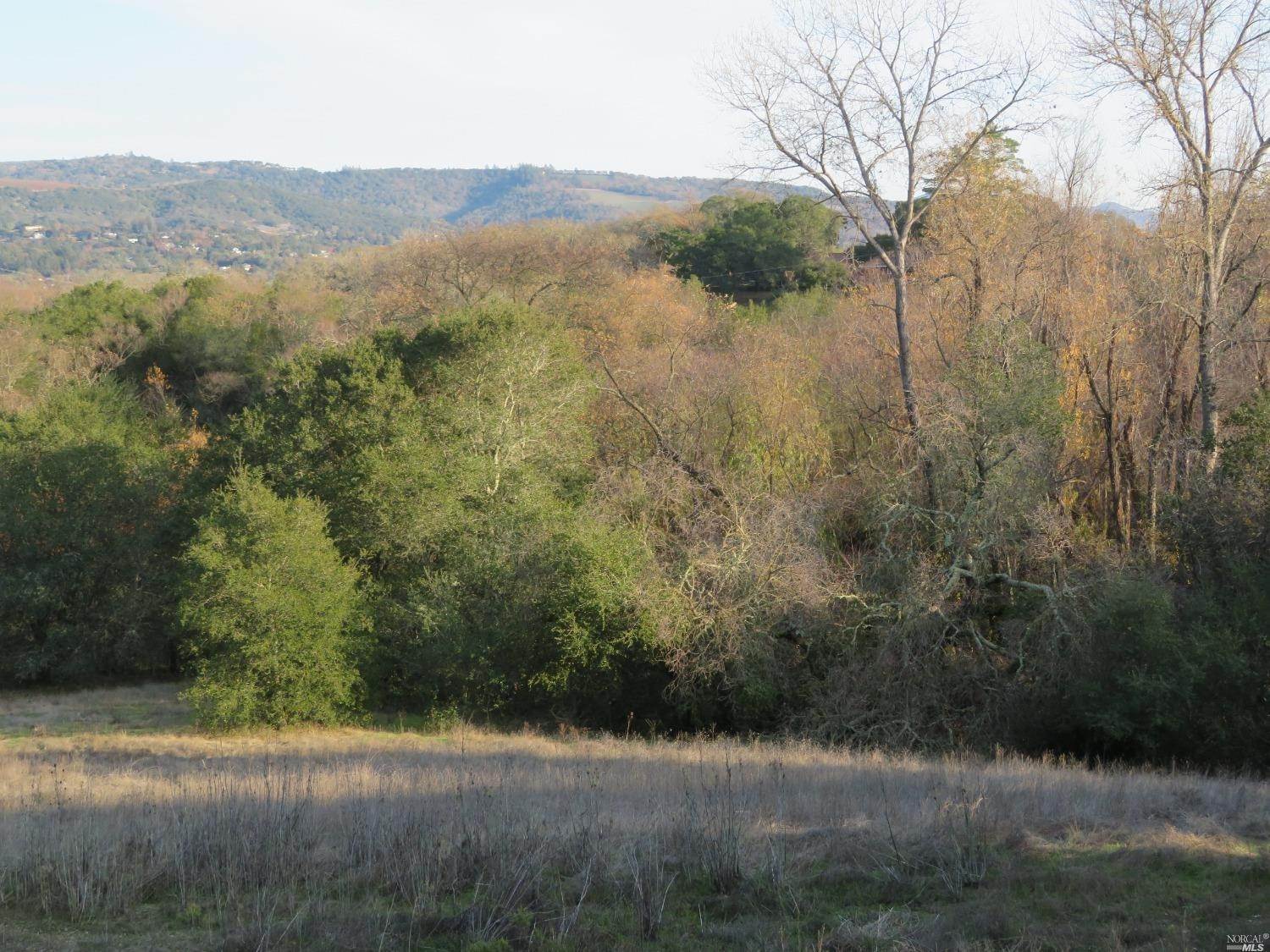Land for Sale at Arnold Drive Sonoma, California 95472 United States