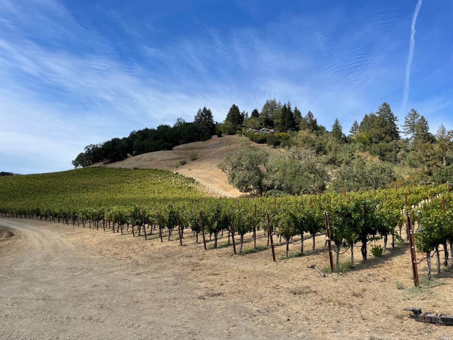 2. Agricultural Land for Sale at 2337 W Dry Creek Road Healdsburg, California 95448 United States