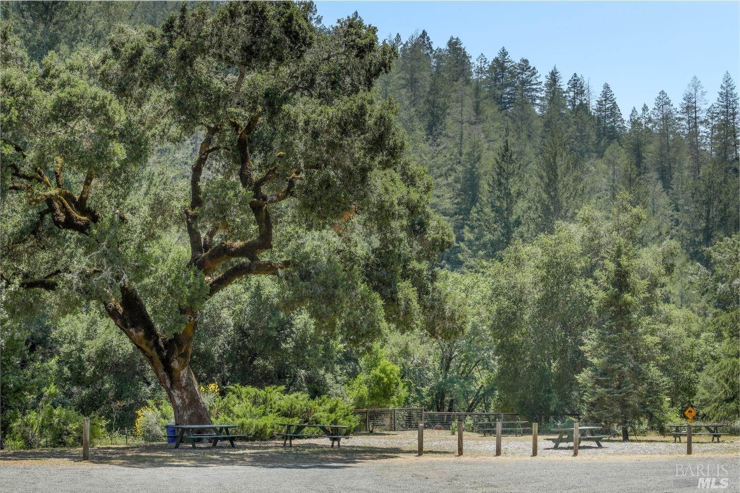 9. Single Family Homes for Sale at 4100 Petrified Forest Road Calistoga, California 94515 United States