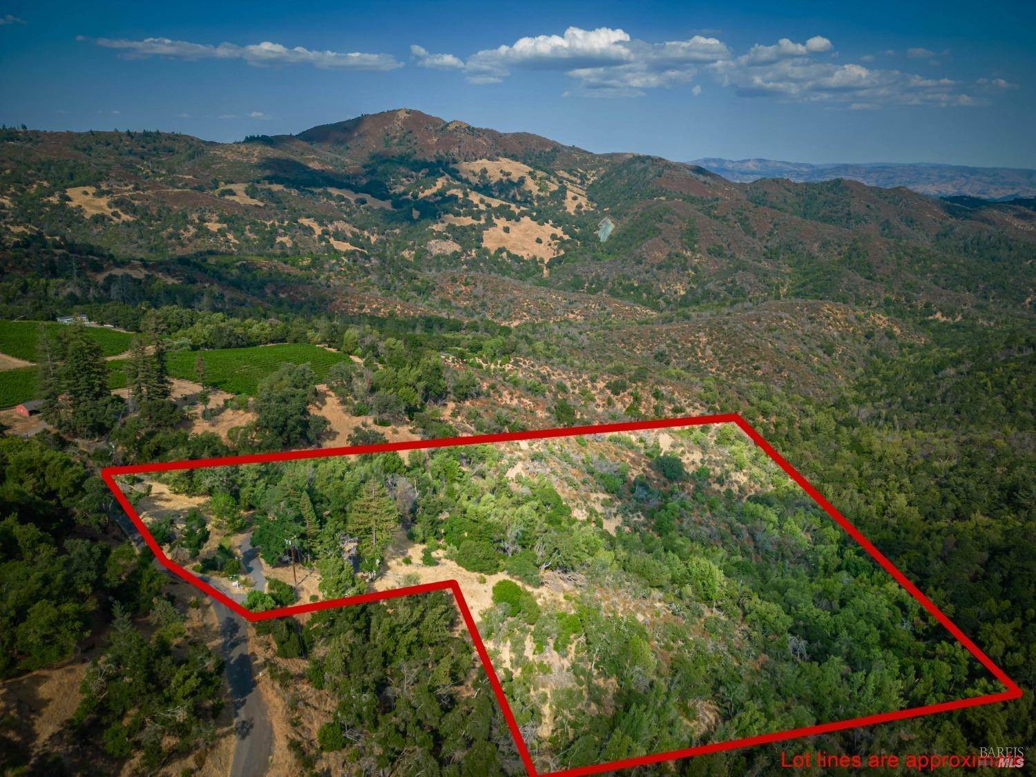 8. Land for Sale at 590 Wall Road Oakville, California 94558 United States