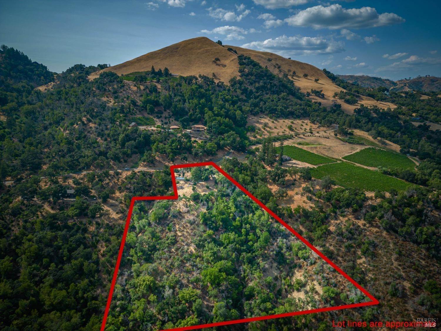 7. Land for Sale at 590 Wall Road Oakville, California 94558 United States