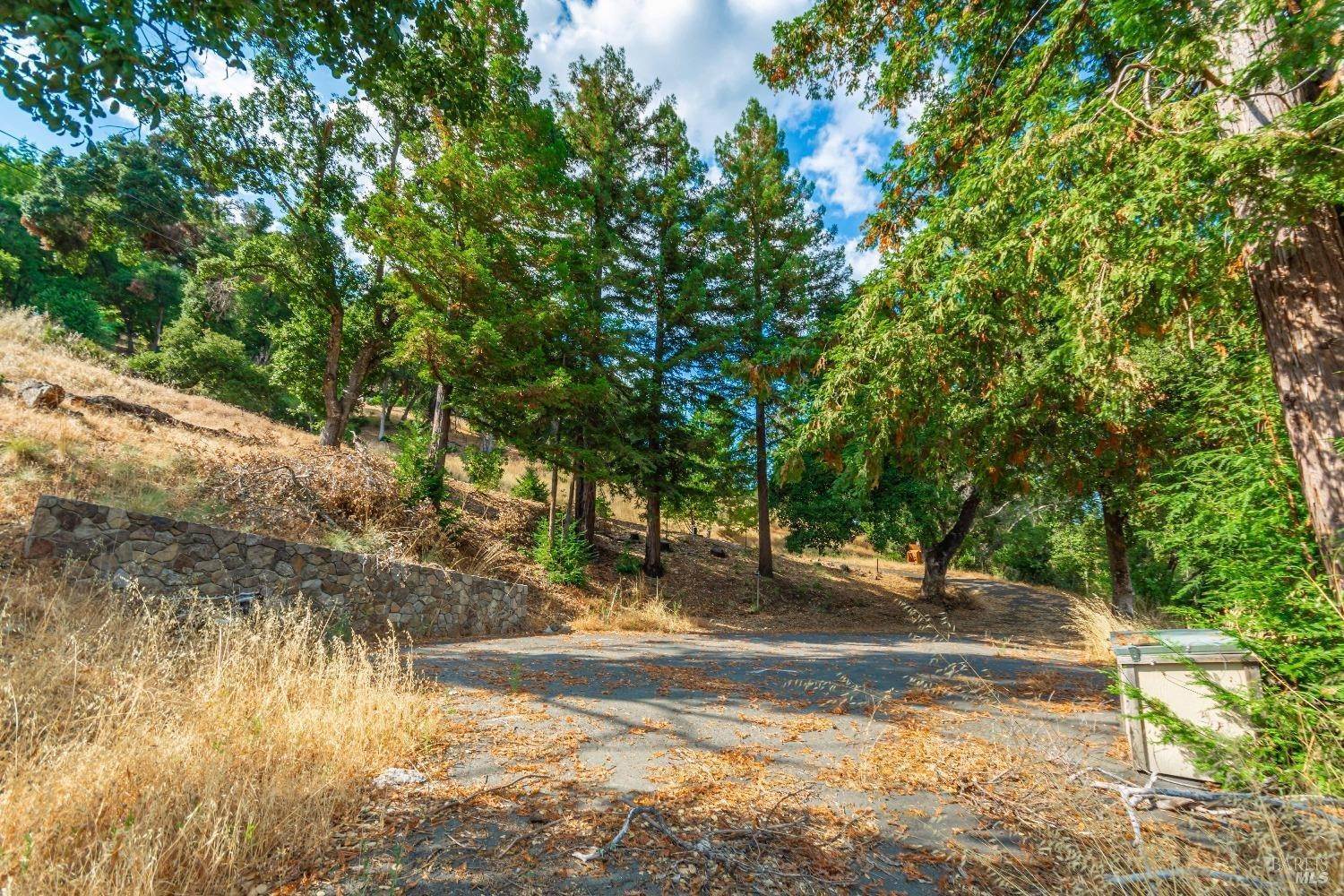 12. Land for Sale at 590 Wall Road Oakville, California 94558 United States