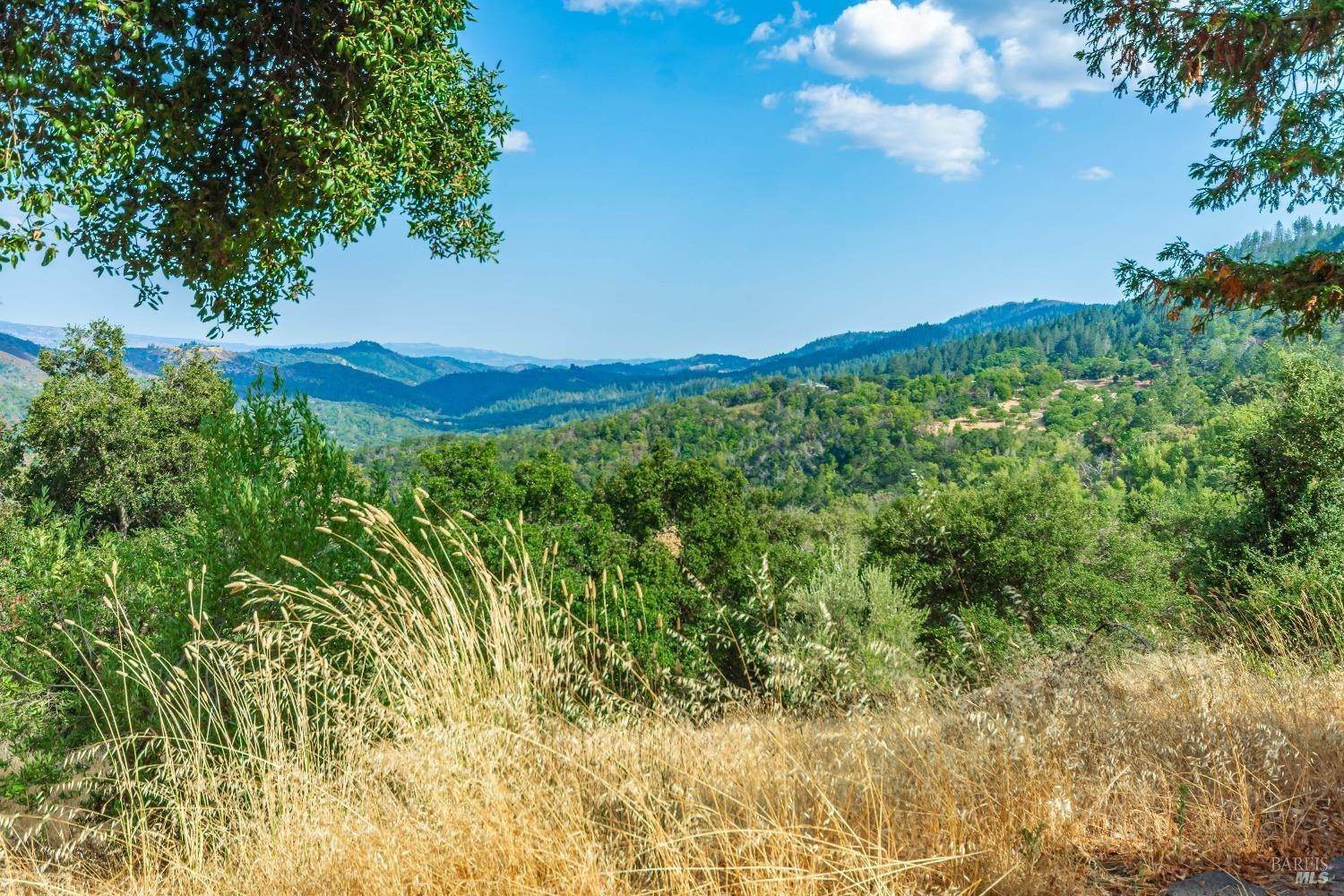 16. Land for Sale at 590 Wall Road Oakville, California 94558 United States
