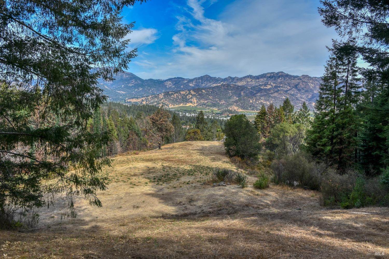 Land for Sale at 1511 Diamond Mountain Road Calistoga, California 94515 United States