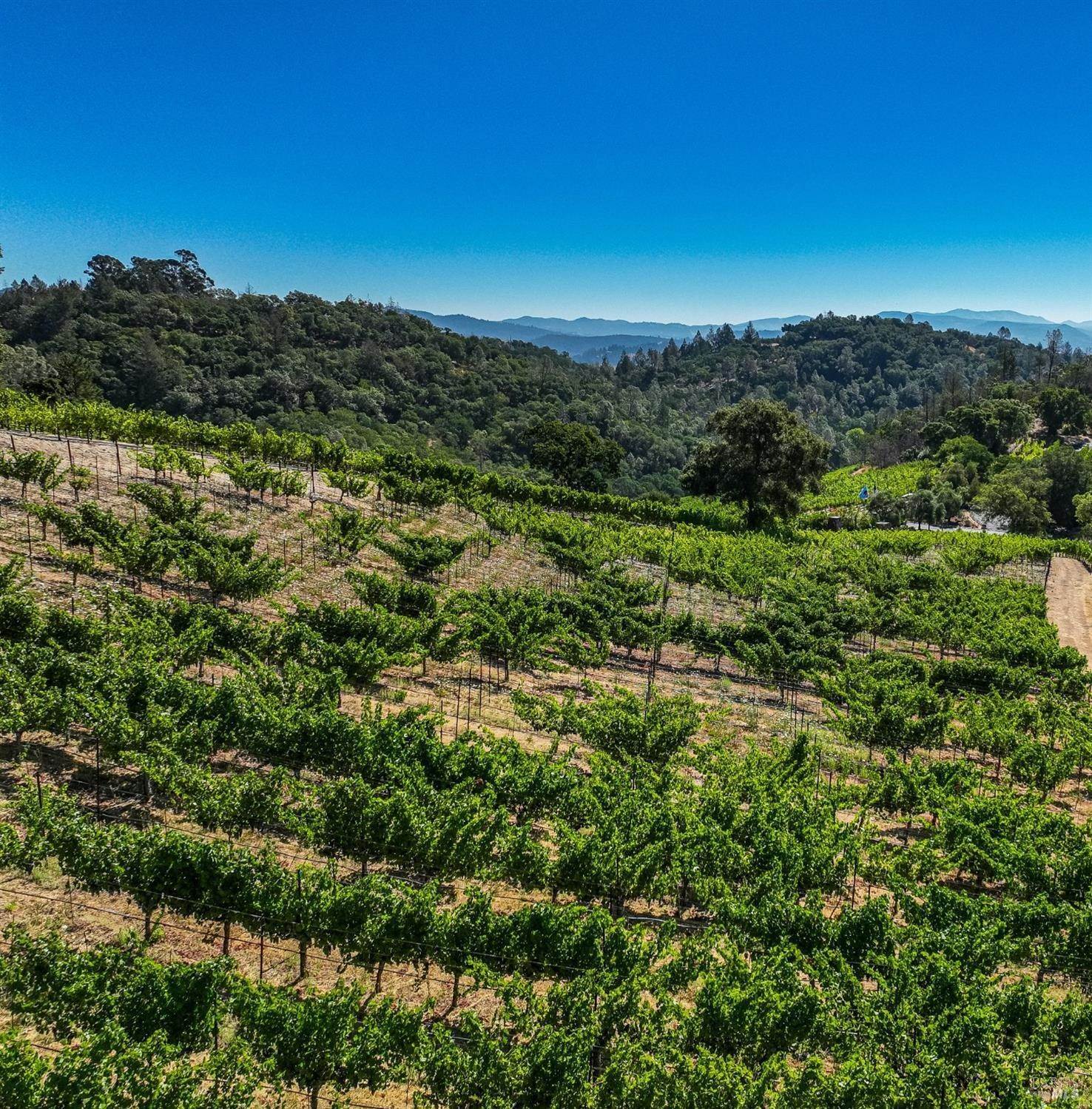 8. Land for Sale at 2910 Spring Mountain Road St. Helena, California 94574 United States