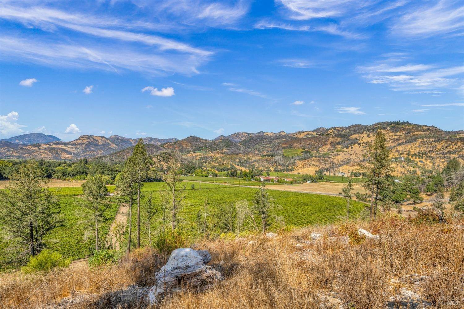 4. Land for Sale at 3683 Silverado Trail St. Helena, California 94574 United States