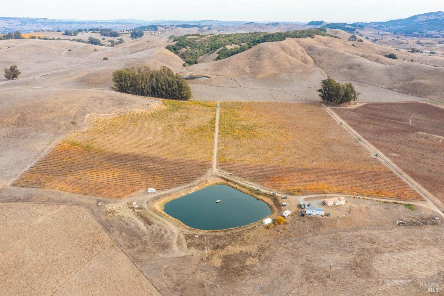 Agricultural Land for Sale at 2590 Chileno Valley Road Petaluma, California 94952 United States