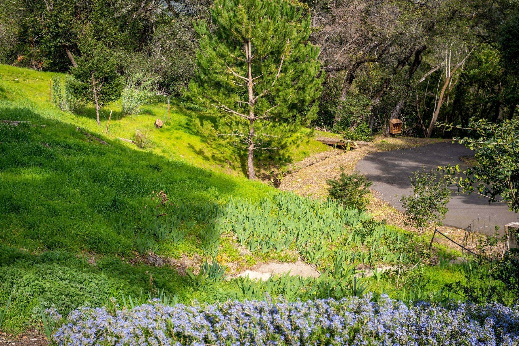 9. Land for Sale at 590 Wall Rd. 590 Wall Road Oakville, California 94558 United States